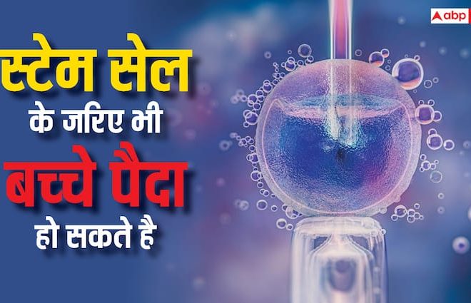 Change will be changed, now the embryo will be ready in the lab