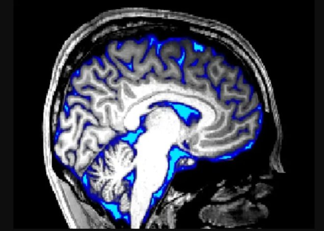 Childhood trauma affects our brain bodies and even our genes