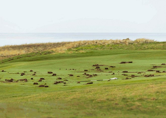 Donald Trump Attack on Scotland Golf Resort; Palestinian | Gaza War | Palestine supporters vandalized Trump’s golf course